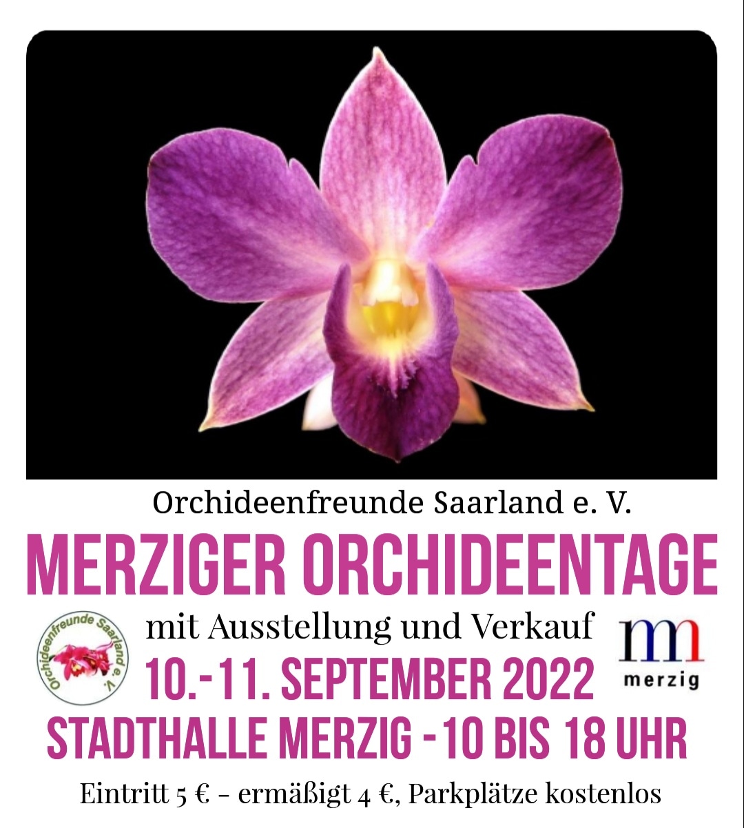 Orchideentage Merzig 10. bis 11. September 2022, Stadthalle Merzig